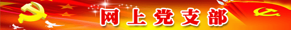 党支部 网上党支部